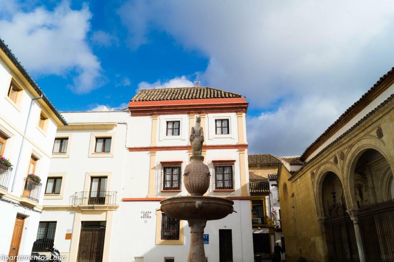 Viviendas Turisticas "La Luna 2" Cordoba Ngoại thất bức ảnh